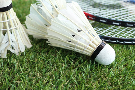 贝尔塔担任 贝尔塔担任